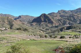 Cortijo Alma in El Cortijo Grande - Foto 2