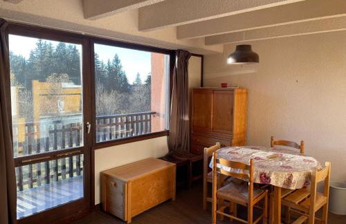 Studio Cabine Chamrousse - Foto 6