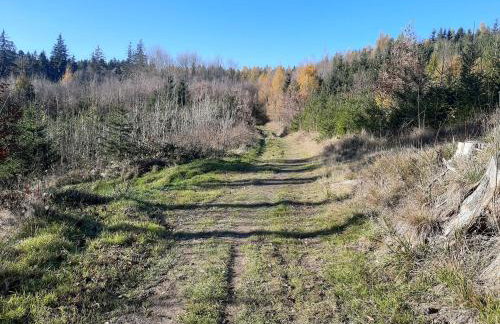 Apartament Laurka - Foto 22