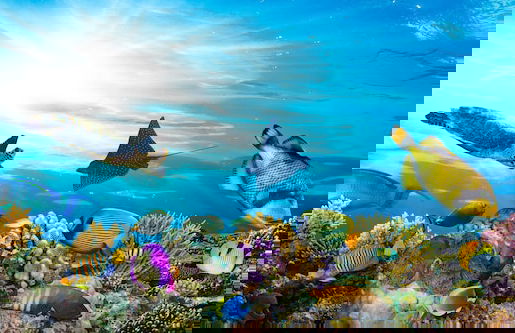 Metro Apartments on Darling Harbour - Sydney - Foto 25