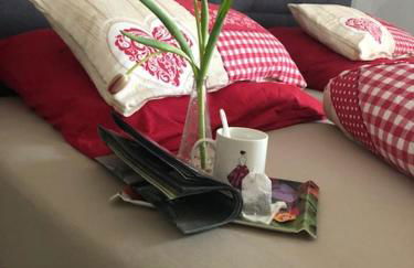 Ferienwohnung Silvaner in fränkischer Weinregion - Foto 1