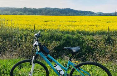 U Wrót Bieszczad - Foto 21