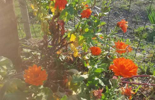 House - Sleeps 5 Scenic Views Fireplace & Garden - Foto 51