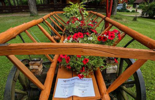 Domek u Bartnika z basenem na Mazurach - Foto 29