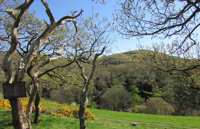 Golygfa'r Cwm - Foto 24