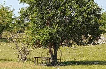 Villa Niko PET FRIENDLY 200 M FROM HIDDEN SANDY BEACH pets stays for free - Photo 26