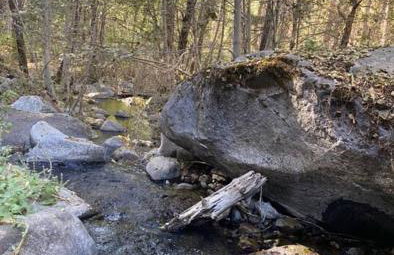 Modern House on 5 acr in Sequoia National Forest - Foto 79