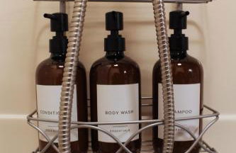 Downtown Lake Odessa's Apartment On 4th - Foto 10