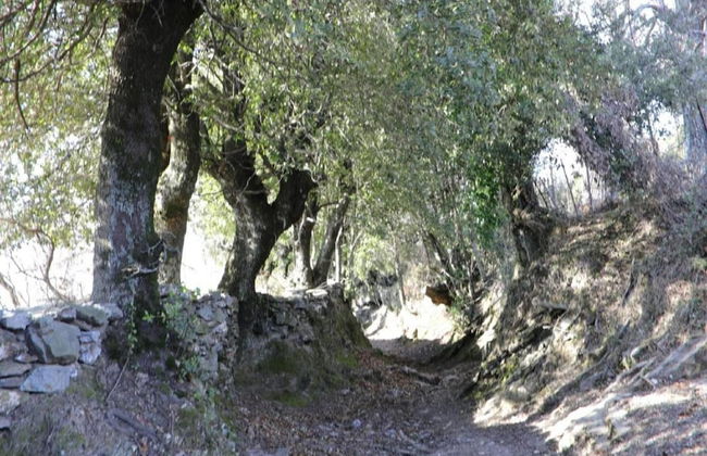 Attractive Holiday Home in Mazzola With Sauna - Foto 31