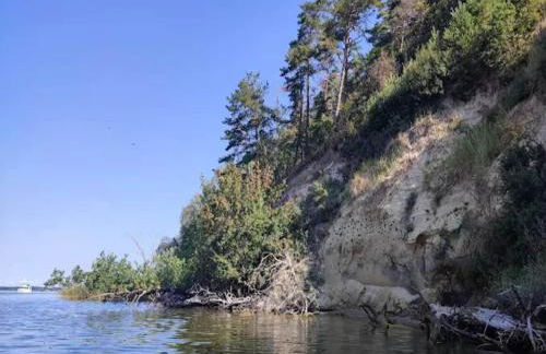 Wohnung in Lütow nahe Ostseestrand - Foto 23