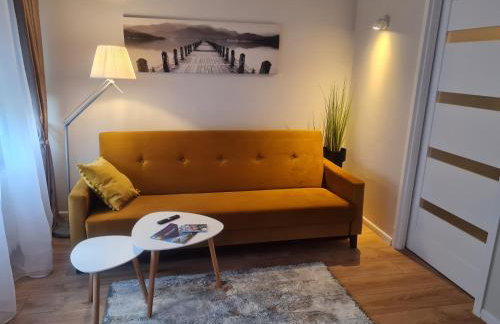 Apartament Toruń Orbita free parking - Photo 11