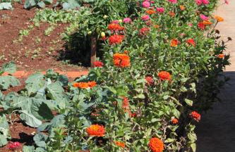 Apartments with a parking space Ugljan - 8404 - Foto 14