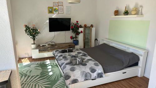 Ruhige sonnige 1,5 Zimmer Wohnung - Foto 4