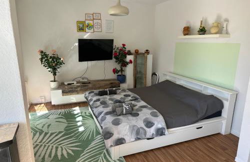 Ruhige sonnige 1,5 Zimmer Wohnung - Foto 4