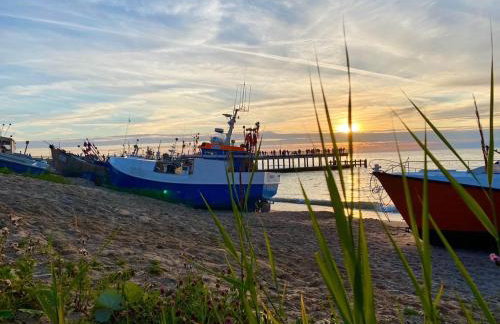 Garden Baltic - Foto 9