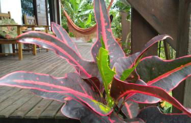 Tranquilidade e linda vista da lagoa - Foto 42