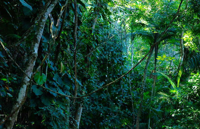 Senderismo por Praia do Sono - Foto 4