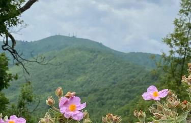 Casa Diciotto - Foto 20