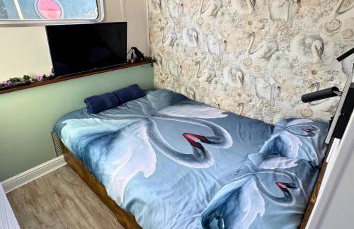 The Swan Flotel - Barton Marina - Foto 16