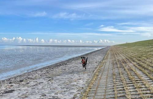 Ferienhaus Butjadingen - Haus Ruhwarden - Foto 30