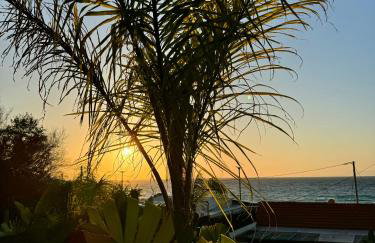 City Compass Sunset Villa - Photo 38