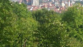 Apartment Serene Retreat - Foto 4