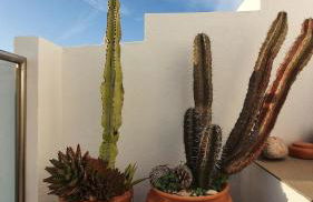 Sea View Apartment Carrapateira - Foto 23