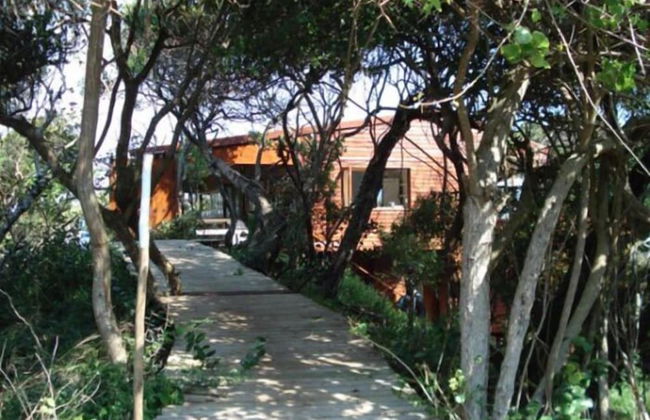 Mar Azul 14 - Photo 6