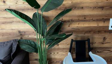 Chalet Martin Belle-Vue - Foto 2