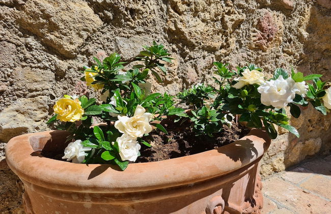 La Terrazza, Historic Tuscan Stone Residence With Garden and Terrace in Cetona - Photo 22