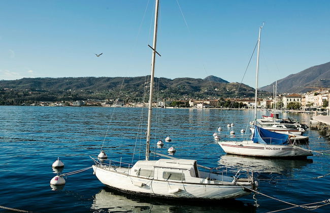 Alma - Near Lake in Sal - Photo 3