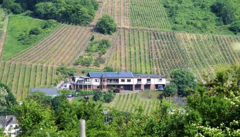 Urlaubsweingut Zecherhof - Foto 2