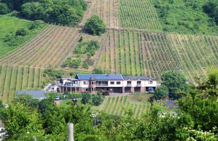 Urlaubsweingut Zecherhof - Photo 2