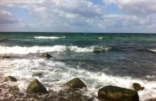 Ferienhaus mit Eigener Terrasse in Russow - Foto 41