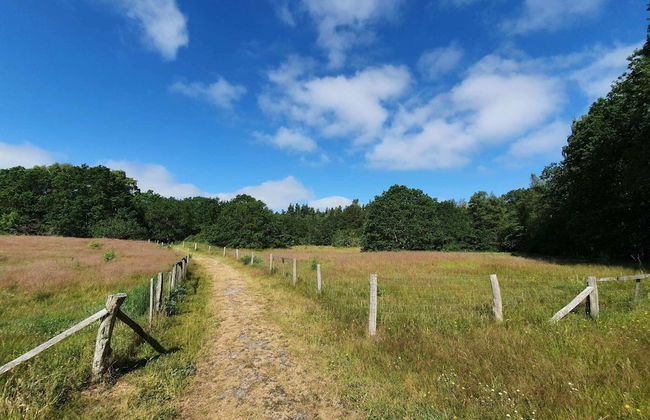 8 Person Holiday Home in Orsted-by Traum - Foto 14