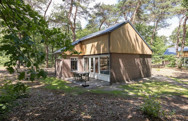 Bungalow in De Peel by Forest Retreat - Photo 1