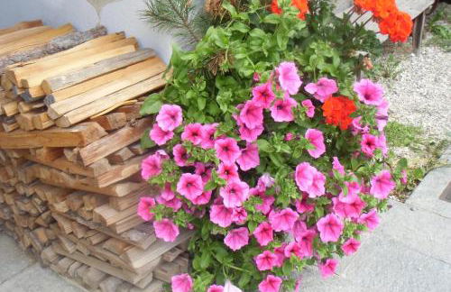 Almhaus Pfister OHG - Foto 73