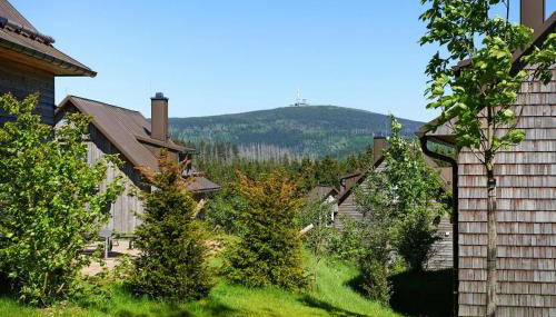 Ferienhäuser im Torfhaus Harzresort, Torfhaus - Foto 3