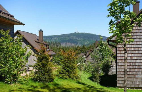 Ferienhäuser im Torfhaus Harzresort, Torfhaus - Foto 3