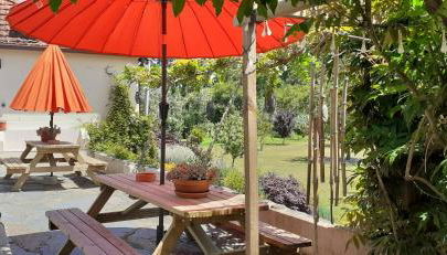 Casa de Coco - Foto 2