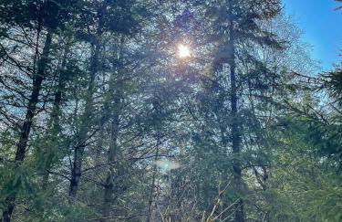 Ferienhaus am Wald - Foto 35