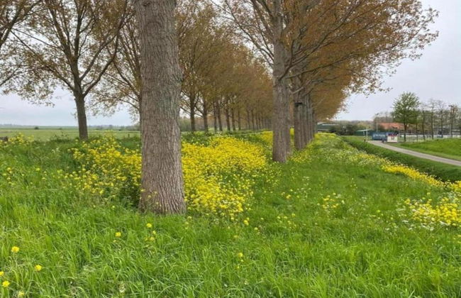 Bungalow by Water Near Rotterdam and Zeeland - Foto 17