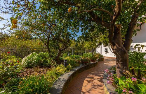 Il Giardino dei Gigli - Foto 14