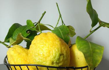 Clio's House - Mondello - Foto 31