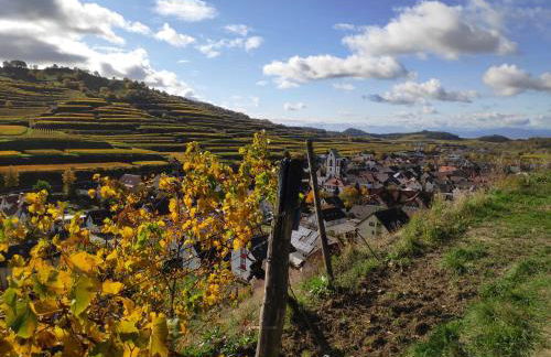 Weingut & Straußwirtschaft Vogel - Foto 68