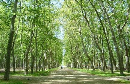 Piso céntrico de 3 habitaciones con terraza y vistas - Foto 49