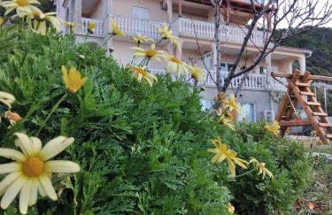 Apartments Panorama view Zeljko Scerbe - Foto 52