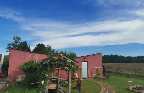 Grande maison de Touraine avec piscine chauffée - Photo 7