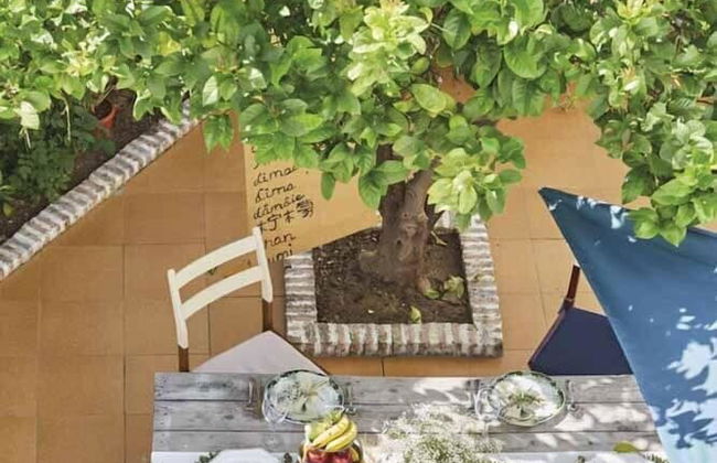 El patio del limonero - Foto 21