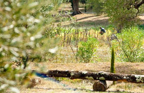 Pie' d'Ulivo - Foto 98